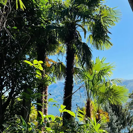 Enchanting View Of Maggiore Mountains Appartement